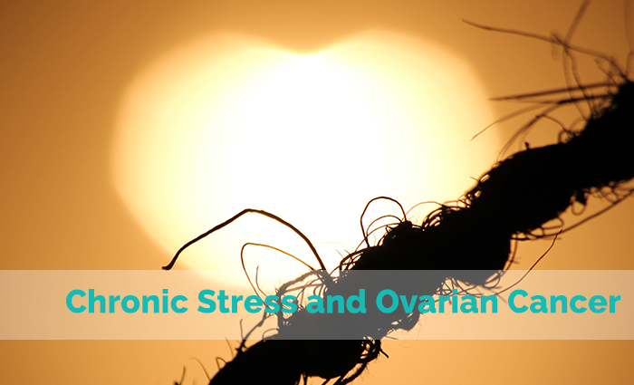 Chronic Stress and Ovarian Cancer Progression