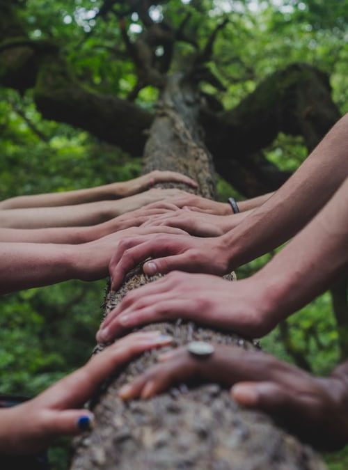 Is it Safe to Combine Integrative Care Alongside Conventional Cancer Treatment? 
