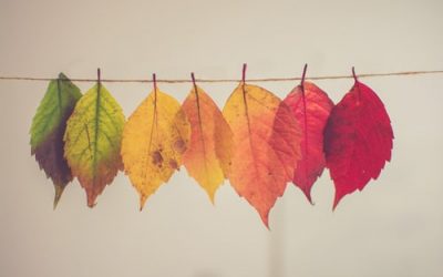 5 Easy Changes You Can Make Today To Slow Your Risk And Growth Of Cancer