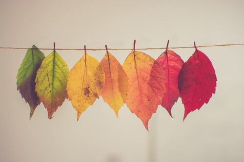 5 Easy Changes You Can Make Today To Slow Your Risk And Growth Of Cancer 
