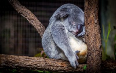 5 Things You Need To Do At The First Sign Of Getting Sick