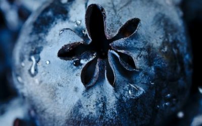 Are Antioxidants Safe Alongside Chemotherapy and Radiation? 