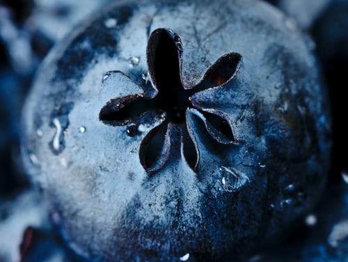 Are Antioxidants Safe Alongside Chemotherapy and Radiation? 