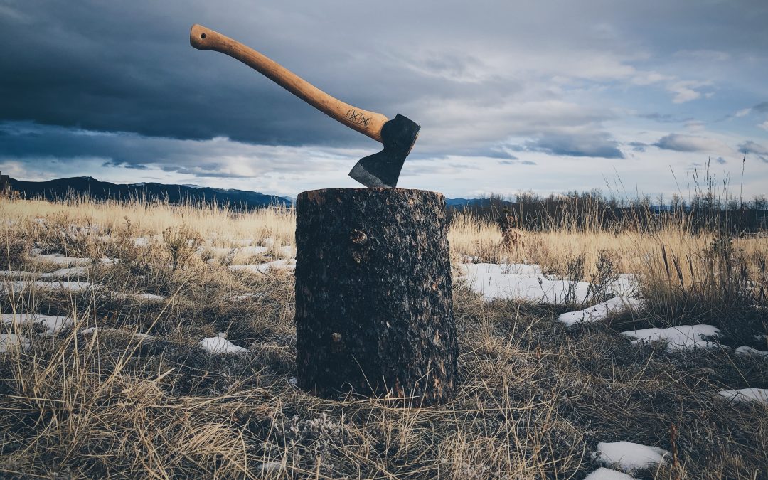Beat Modern Day Stress Using Traditional Living Habits
